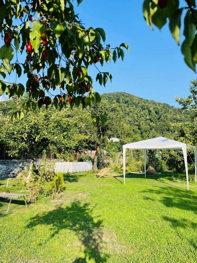 Dreamland Lagodekhi & Wine Cellar 외부 사진