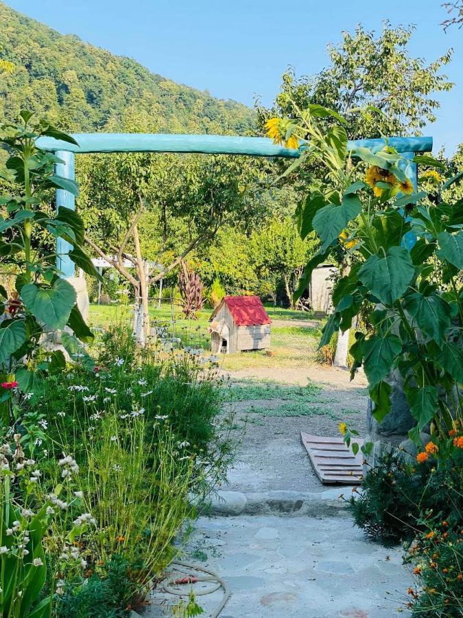 Dreamland Lagodekhi & Wine Cellar 외부 사진