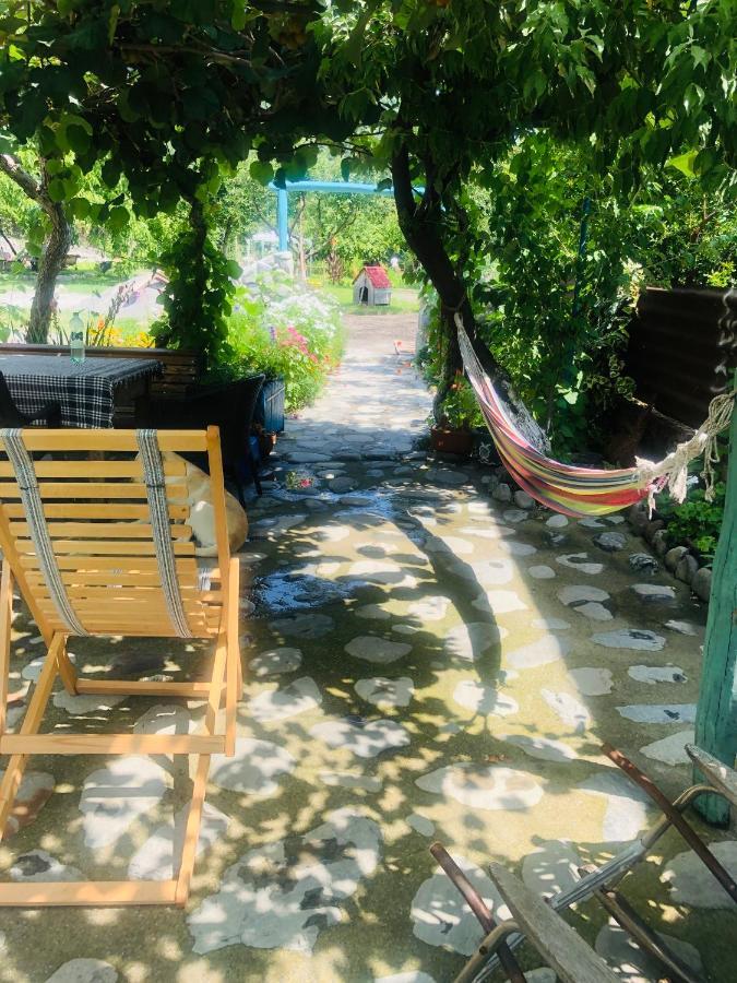 Dreamland Lagodekhi & Wine Cellar 외부 사진